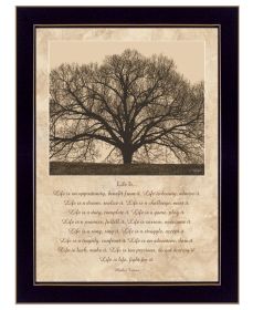 Trendy DÃ©cor 4U Framed Wall Art; Modern Home Decor Framed Print for Living Room; Bedroom & Farmhouse Wall Decoration by John Jones