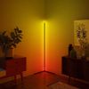 Multi-color Corner Floor Lamp