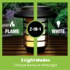 Smart Solar Pathways Lights with Remote, Bright White & Warm Flame Outdoor LED Premier