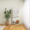 65" x 24" Wall Mounting Full Body Mirror, Full Length Mirror