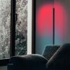 Multi-color Corner Floor Lamp